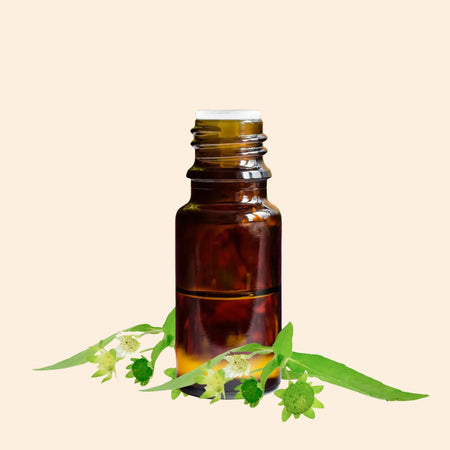 MYOC Bhringraj Herbal Liquid Extract 1.05oz to 880oz, Hair Vitalizing Botanical, Scalp Care, Natural Antioxidant