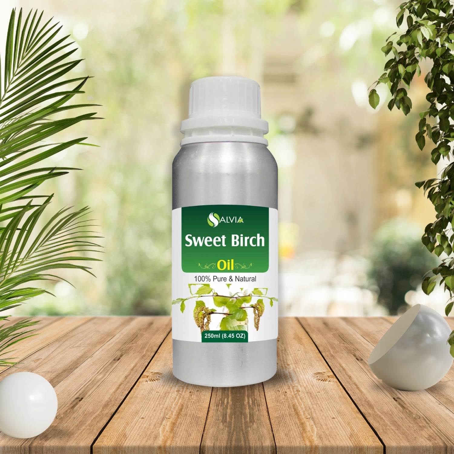 Sweet Birch Oil