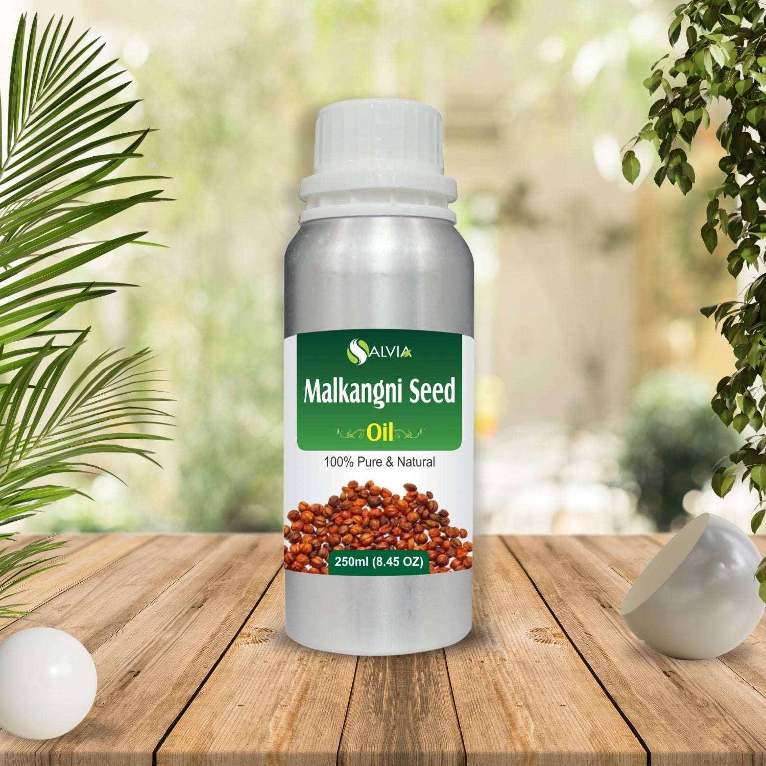 Malkangni Seed Oil