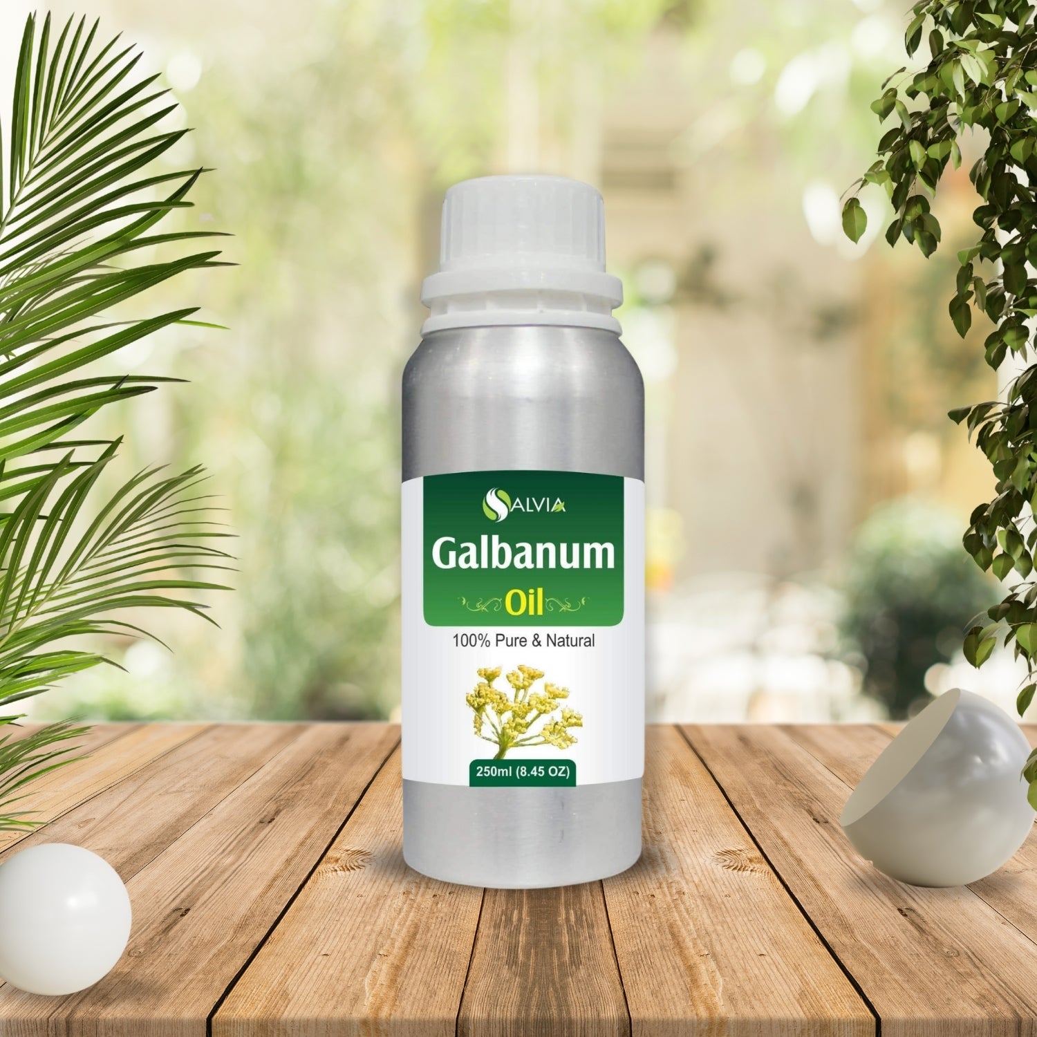 Galbanum Oil (Ferula-Galbaniflua) 100% Natural Pure Essential Oil