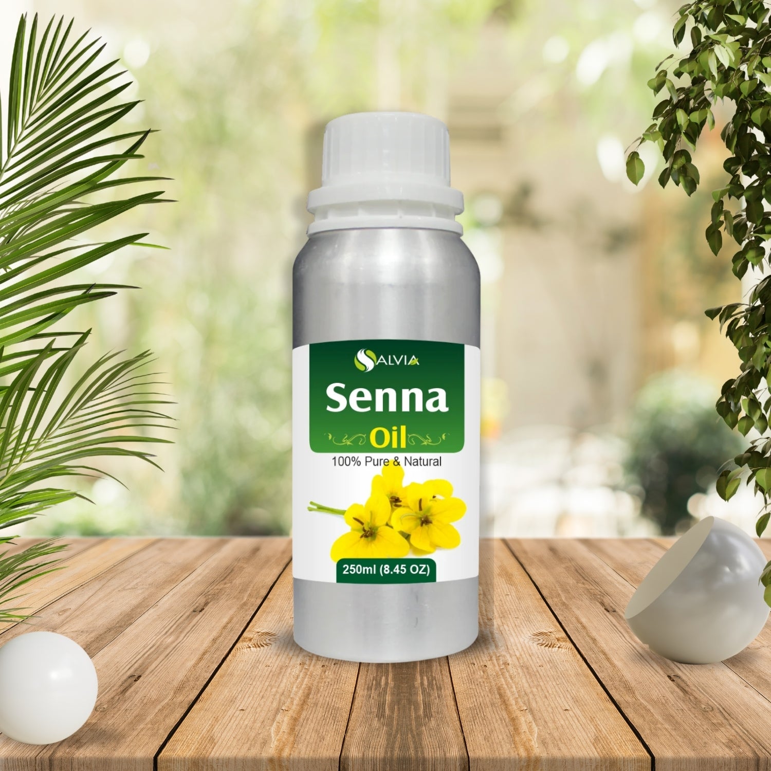 Seena Oil