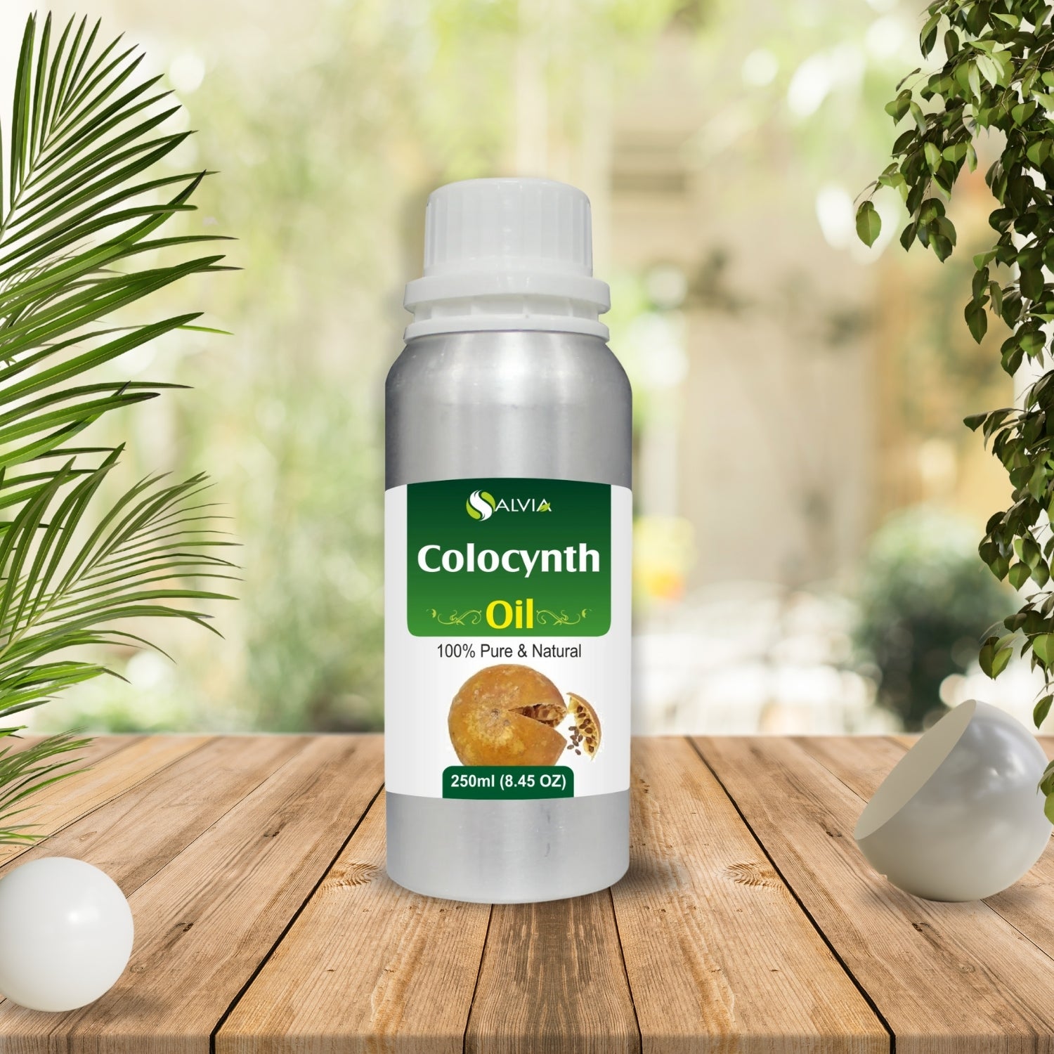 Colocynth Oil