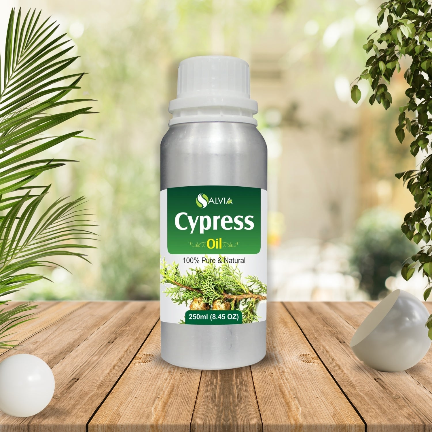 Cypress Oil (Cupressus sempervirens) 100% Natural Pure Essential Oil