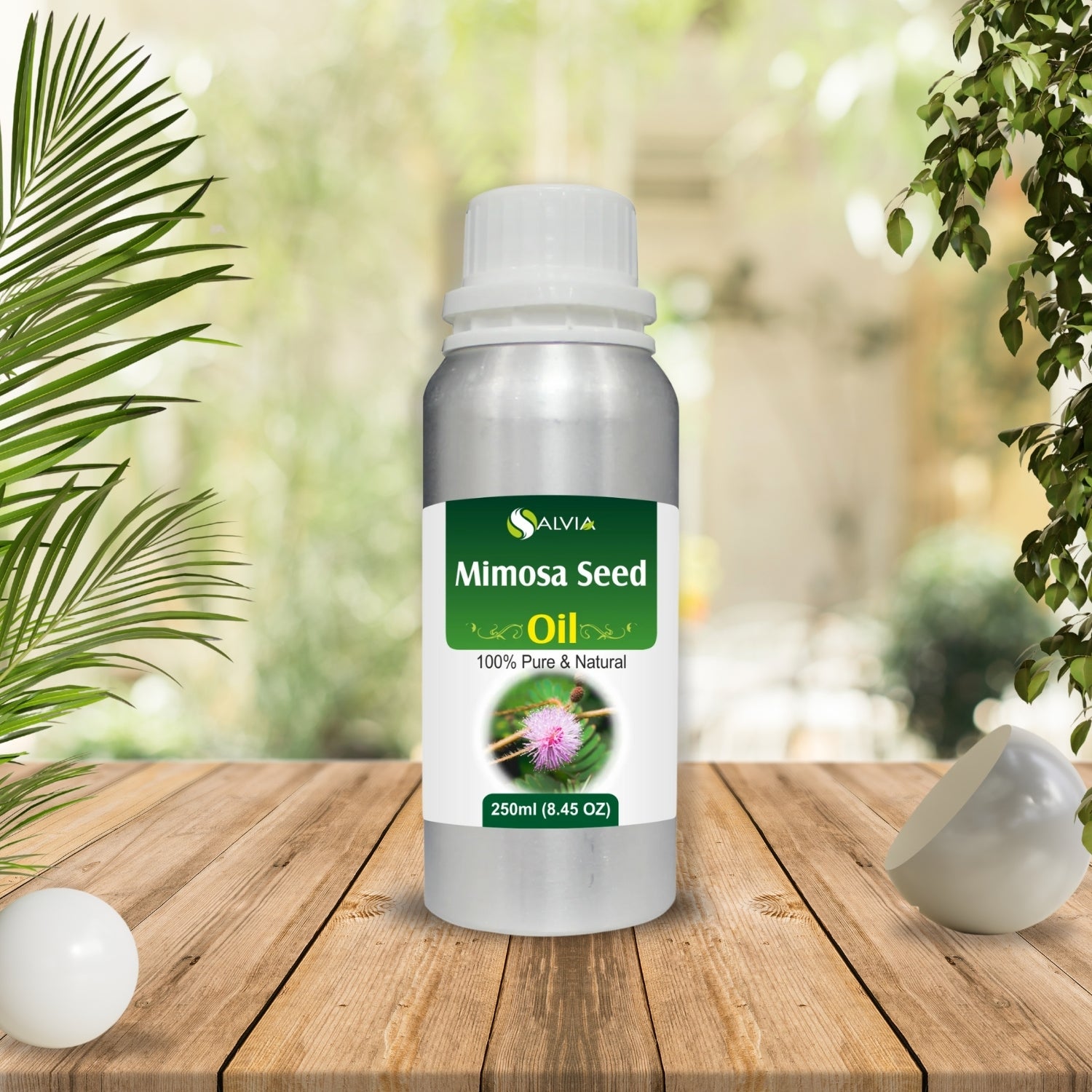 Mimosa Seed Oil
