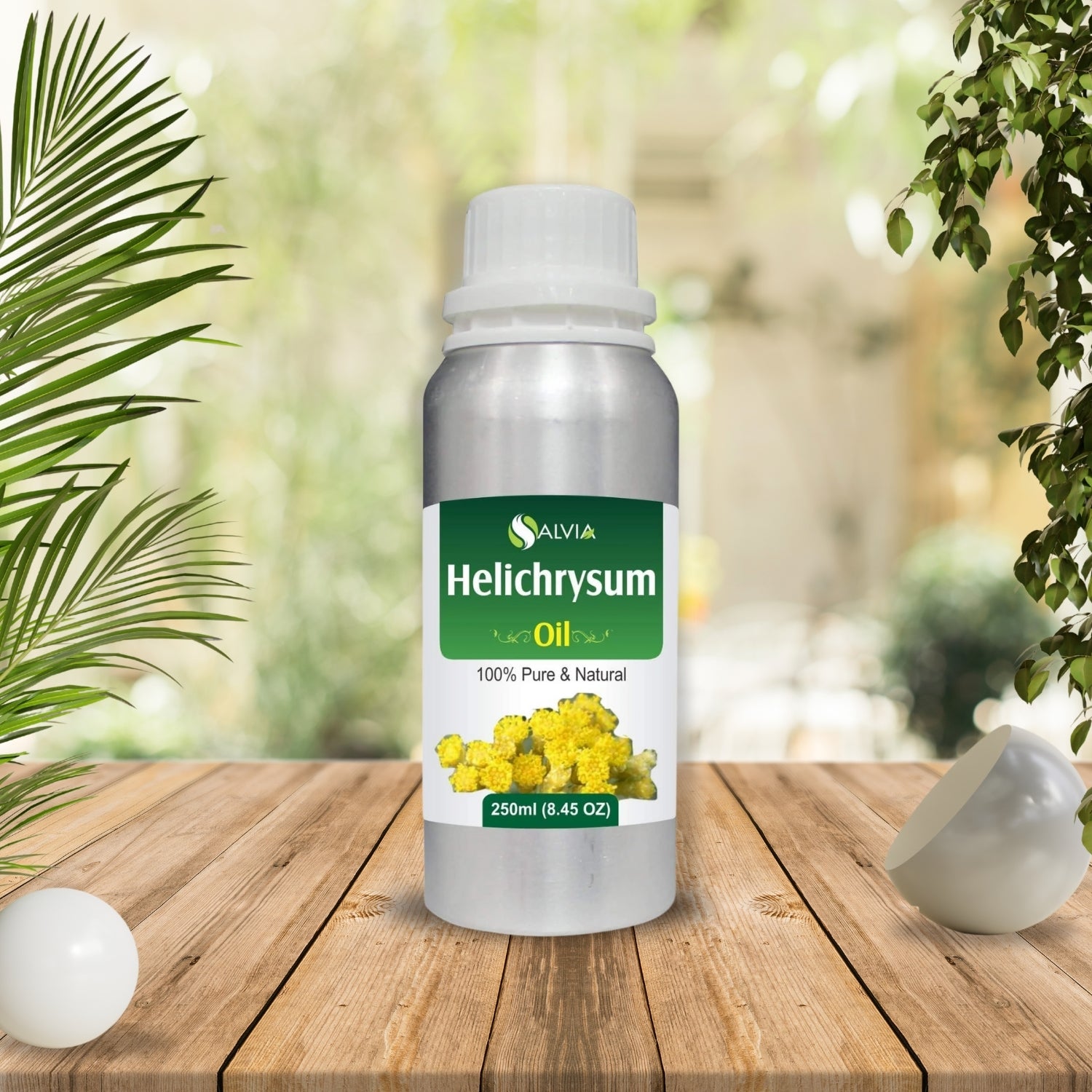 Helichrysum Oil (Helichrysum Italicum) Natural and Pure Essential Oil