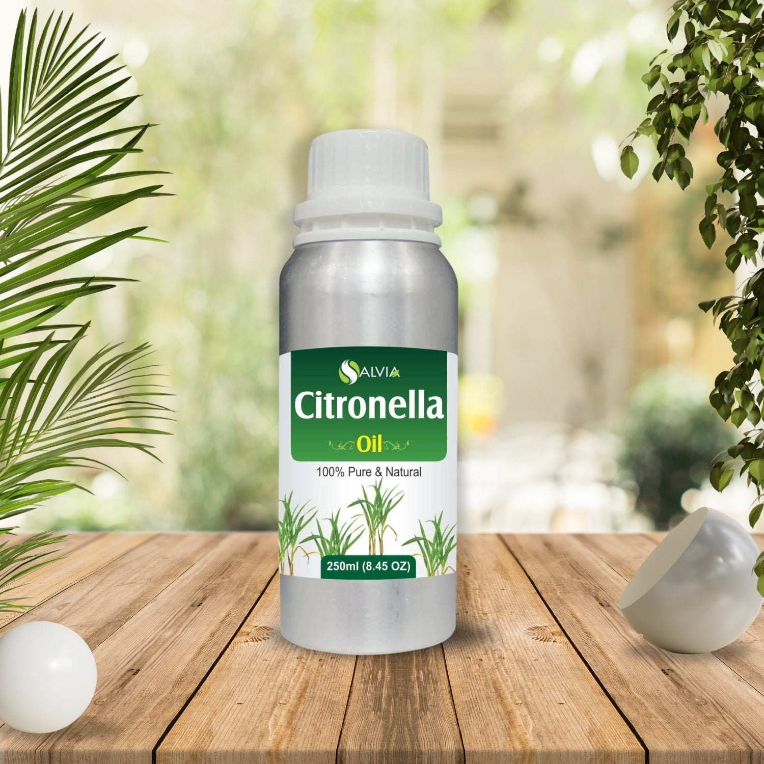 Citronella Oil