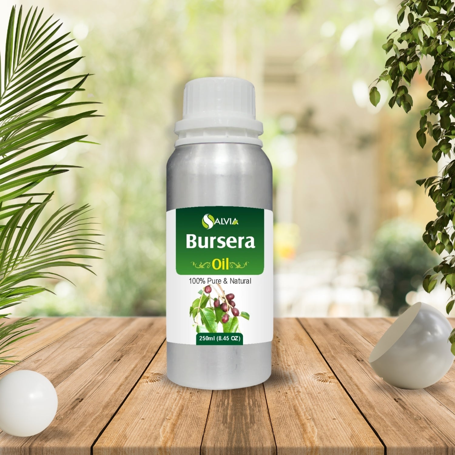 Bursera oil