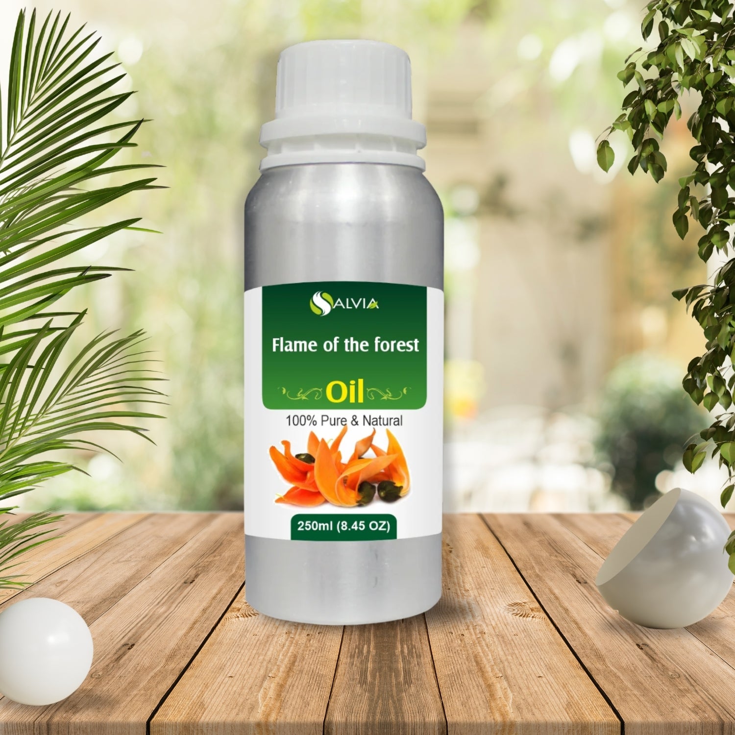 Flame of the Forest Oil