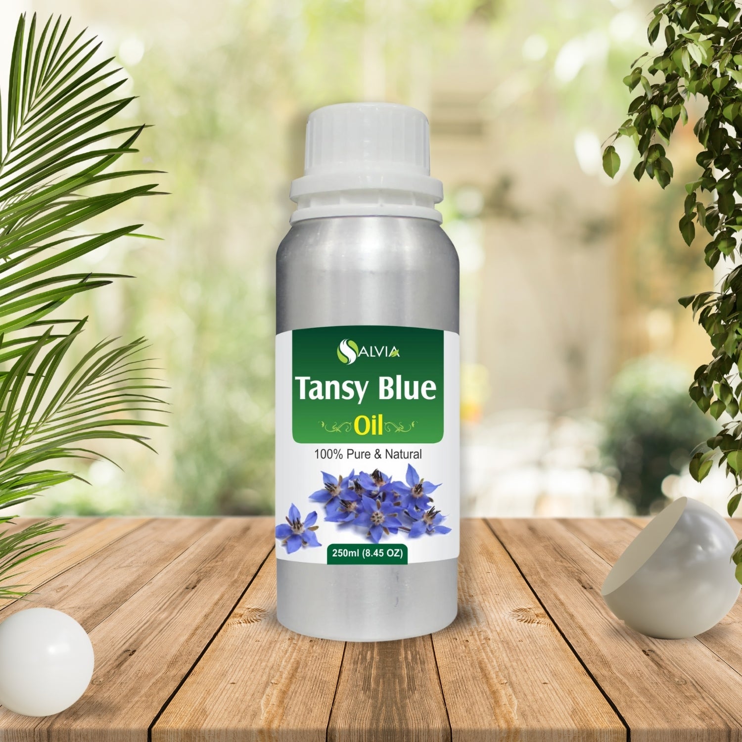 Tansy Blue Oil