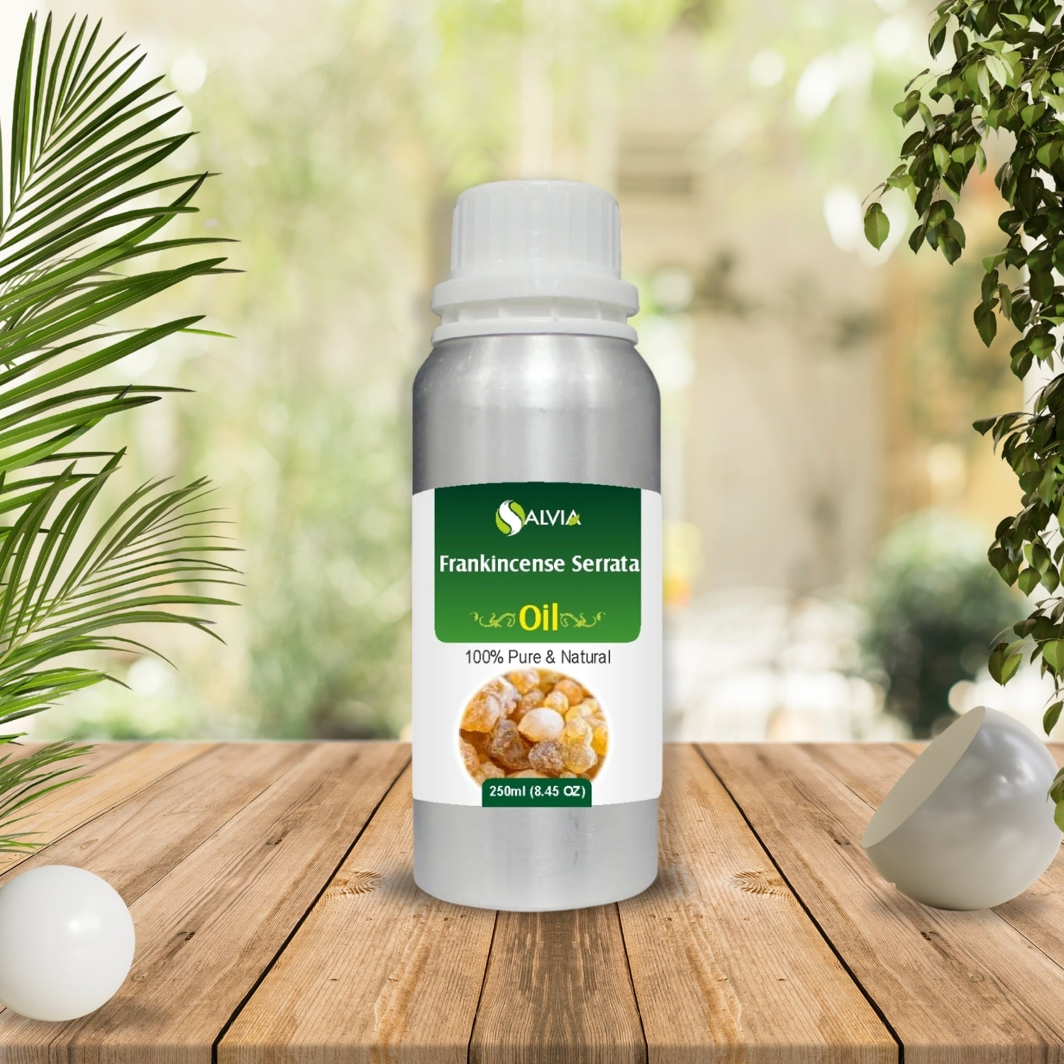 Frankincense Serrata Oil