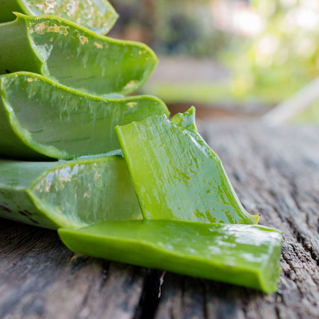 Aloe Foam