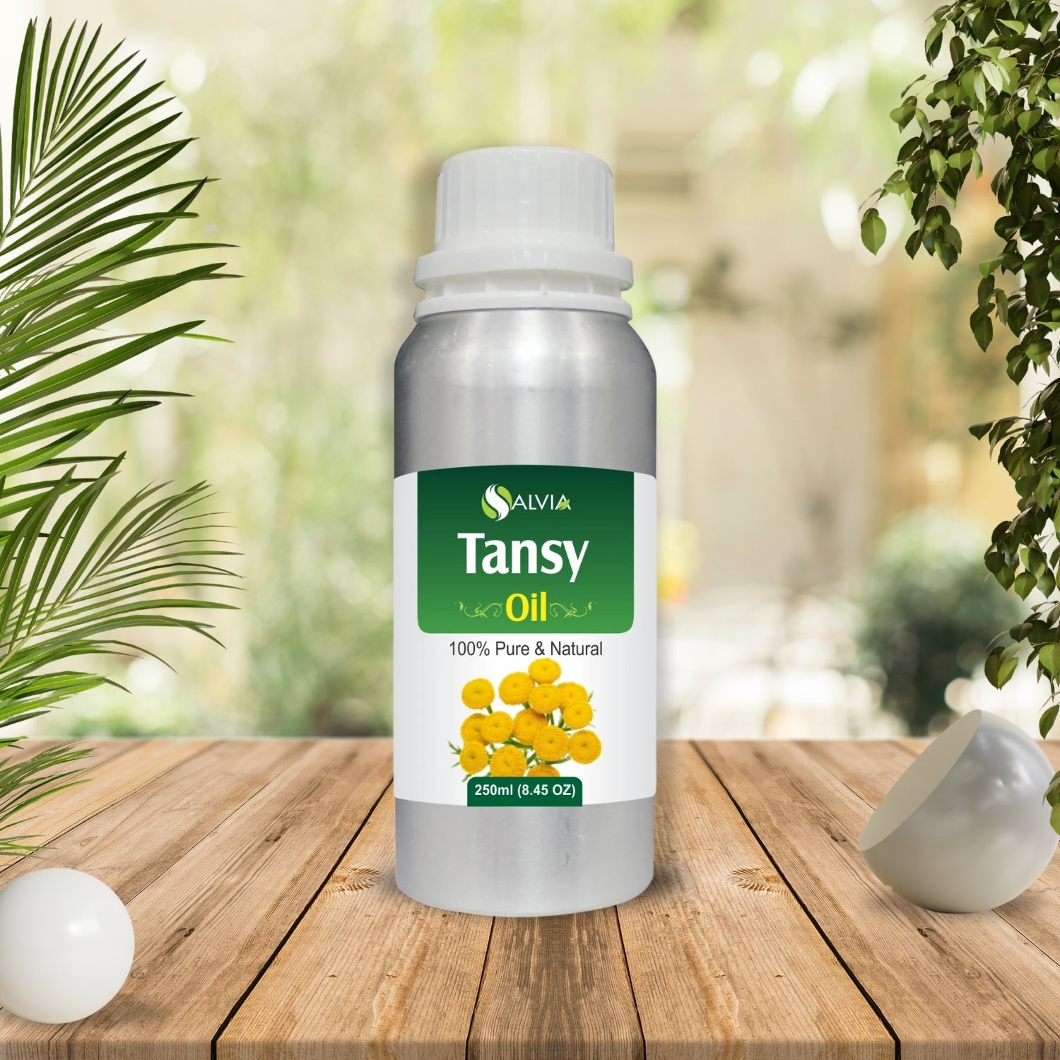 Tansy Oil