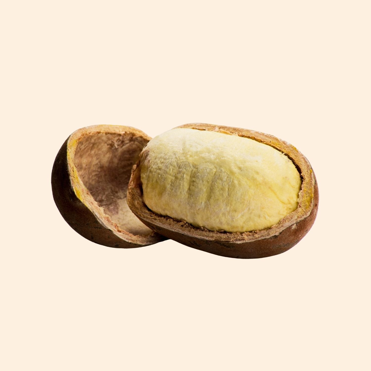 Cupuacu Butter