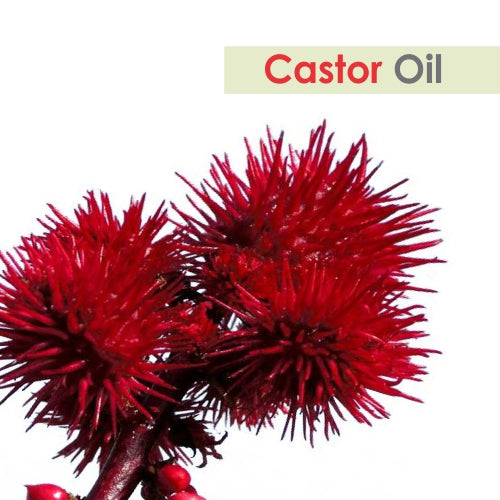 Castor Oil (Ricinus communis) 100% Natural Carrier Oil
