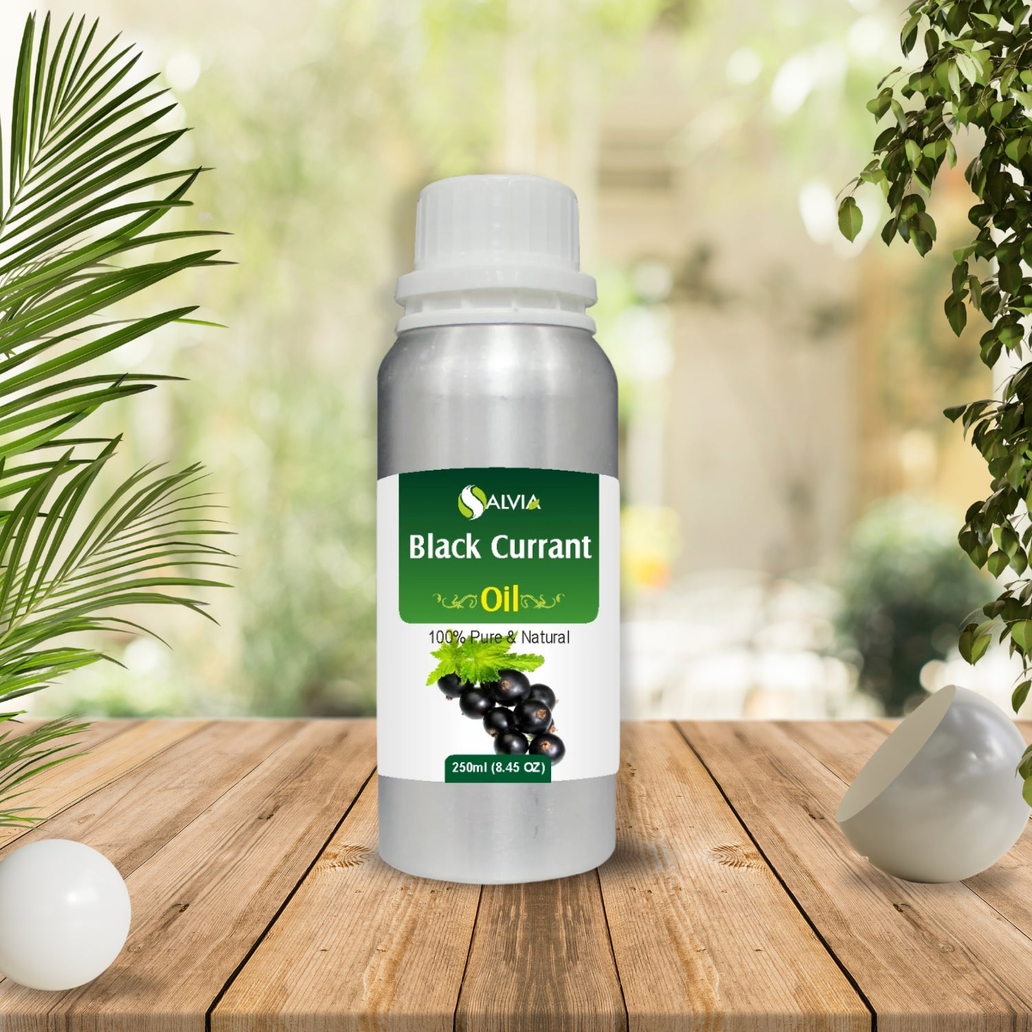 Black Currant Oil