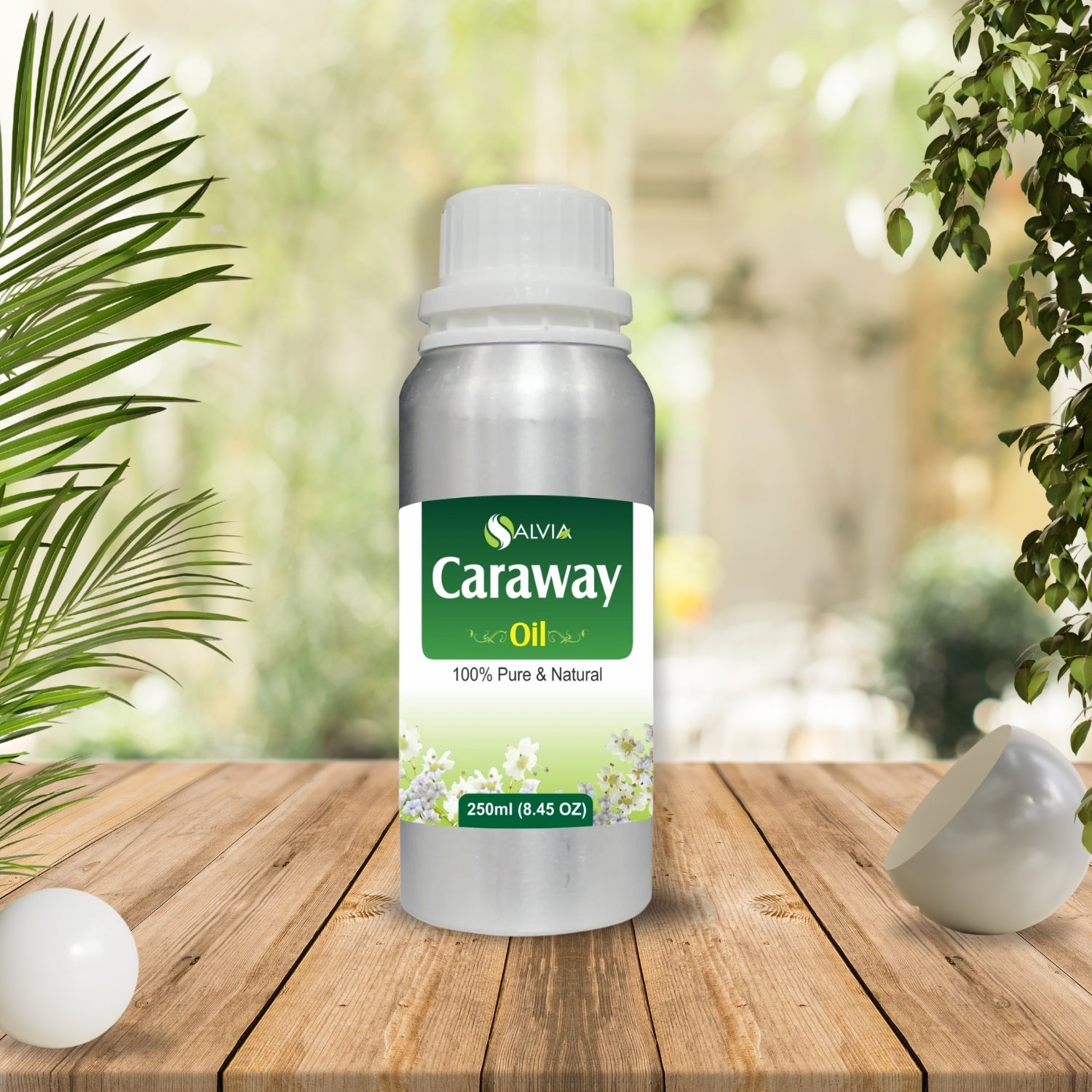Caraway Essential Oil