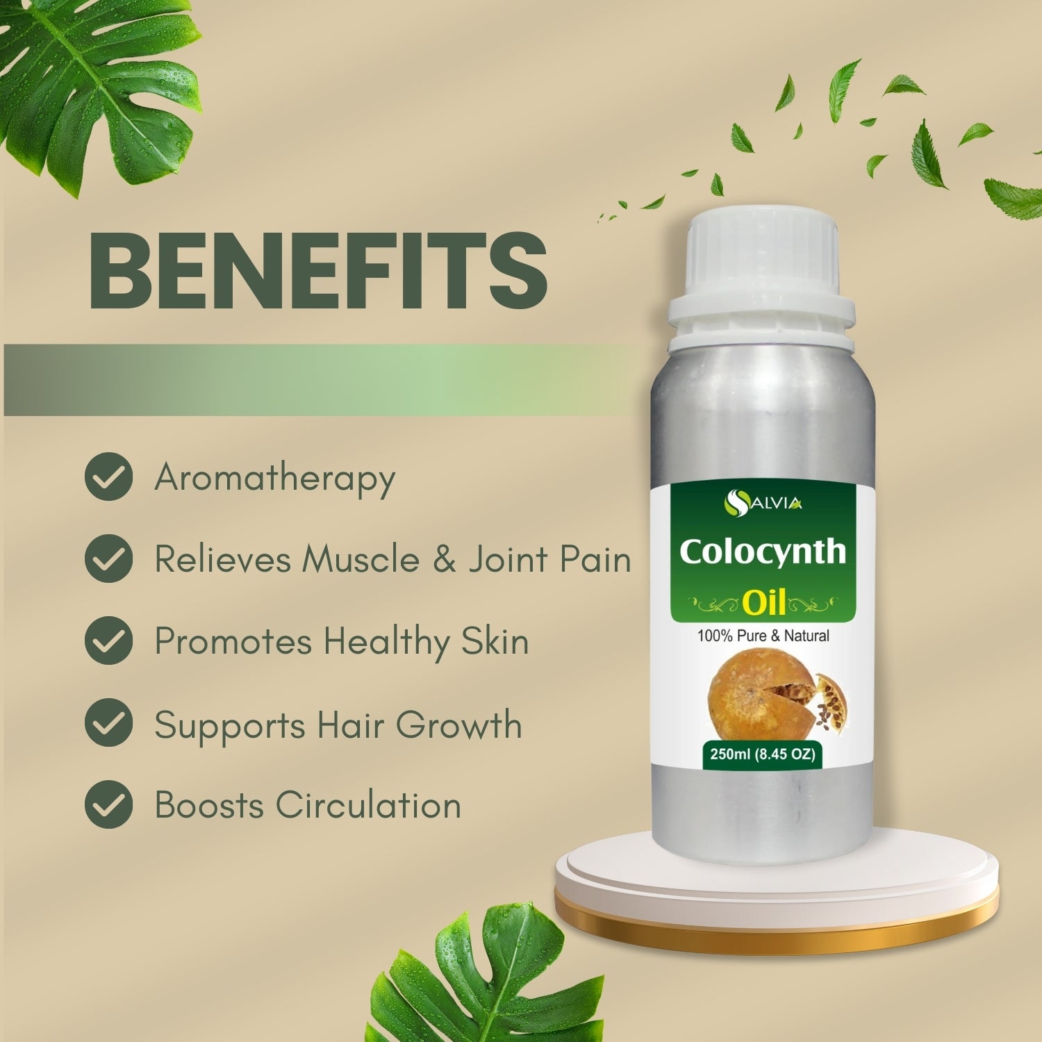 Colocynth Oil