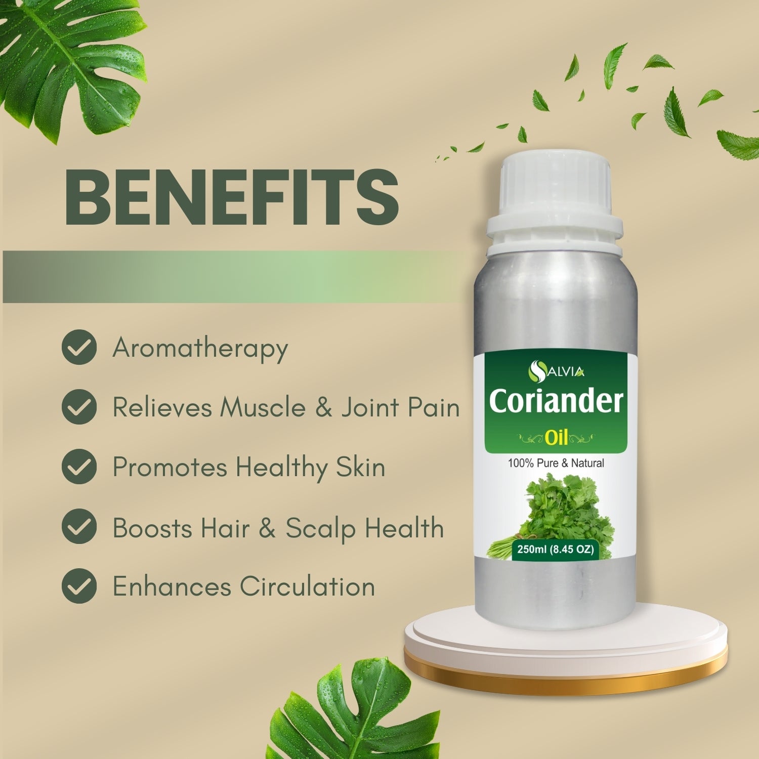 Coriander Oil