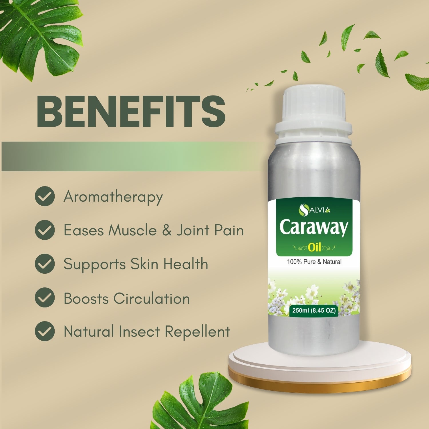 Caraway Essential Oil