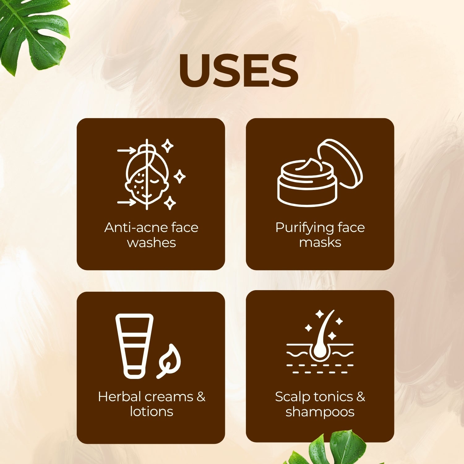 Basil Herbal Liquid Extract