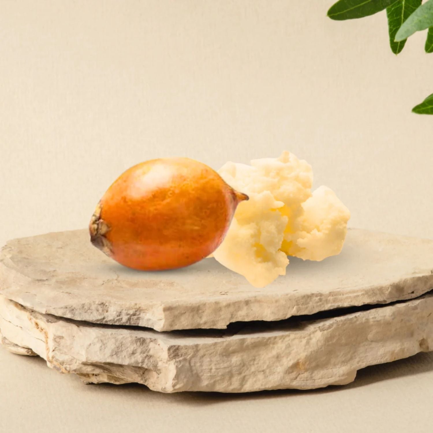 Tucuma Butter