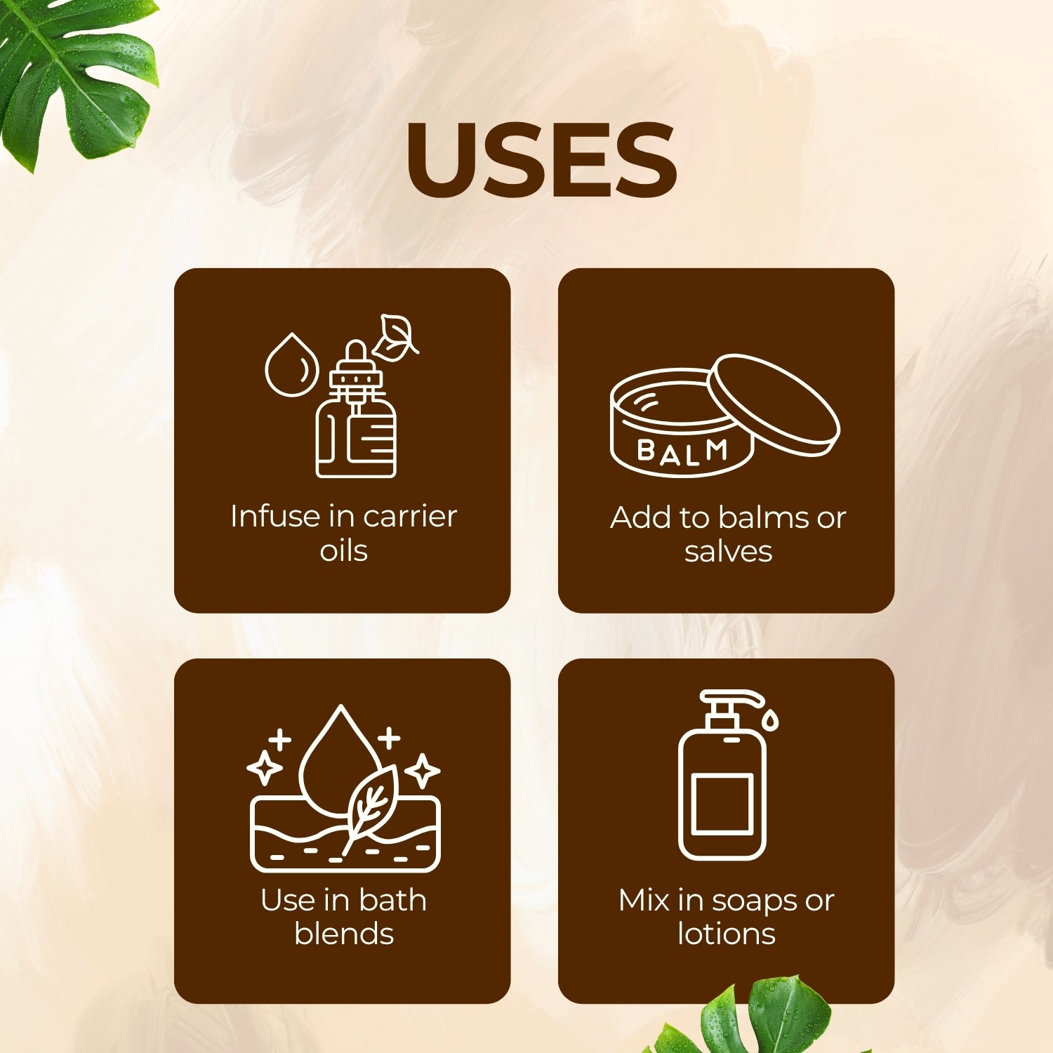 Calendula Dry Flower