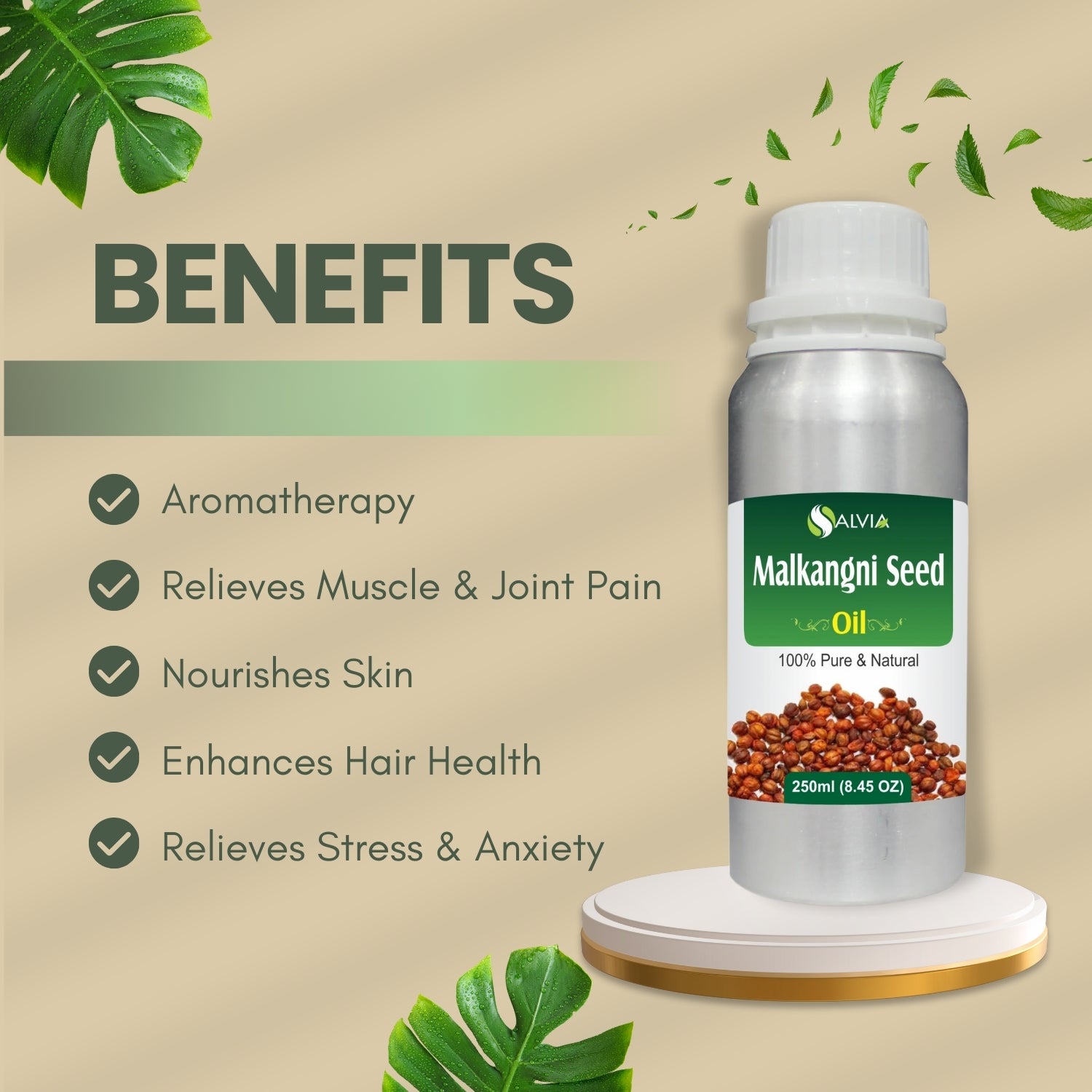 Malkangni Seed Oil