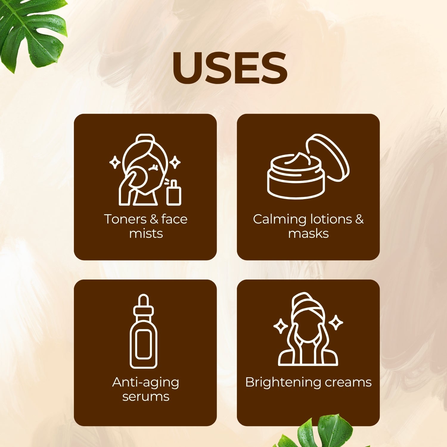 Elder Flower Herbal Liquid Extract