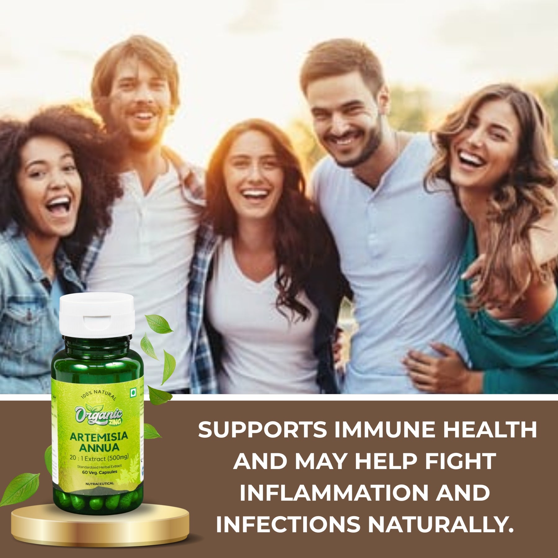 Artemisia Annua 20:1 Extract Capsules â€“ 60
