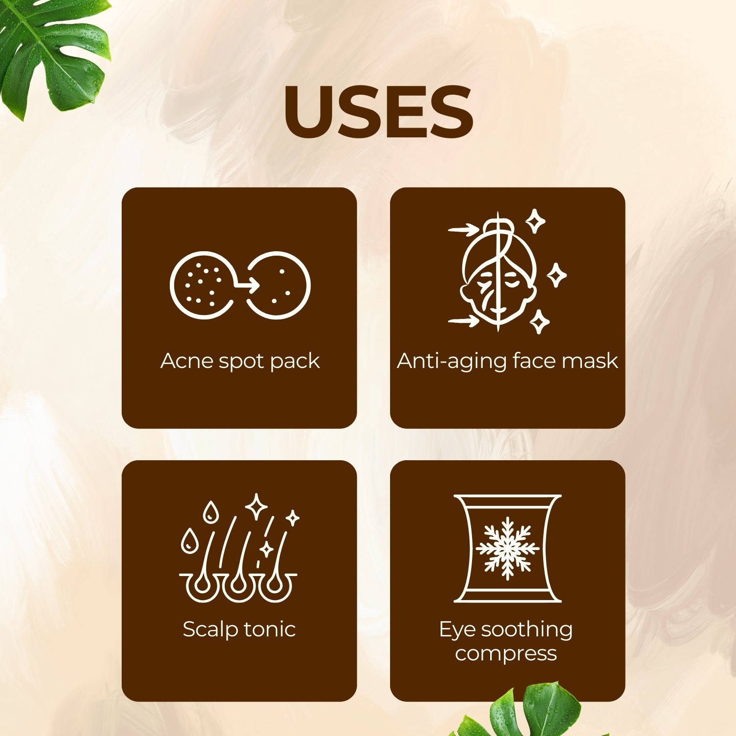 Green Tea Dry Extract