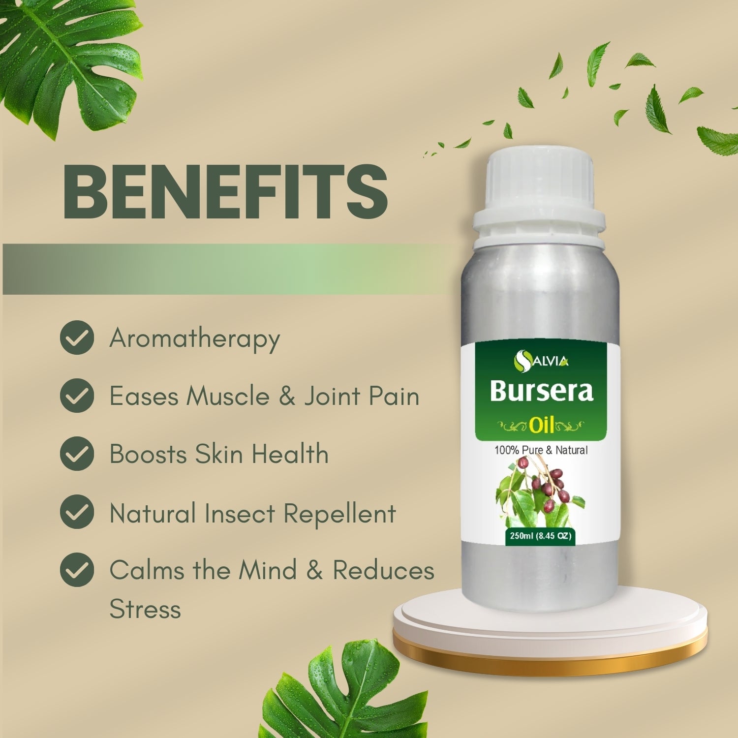 Bursera oil