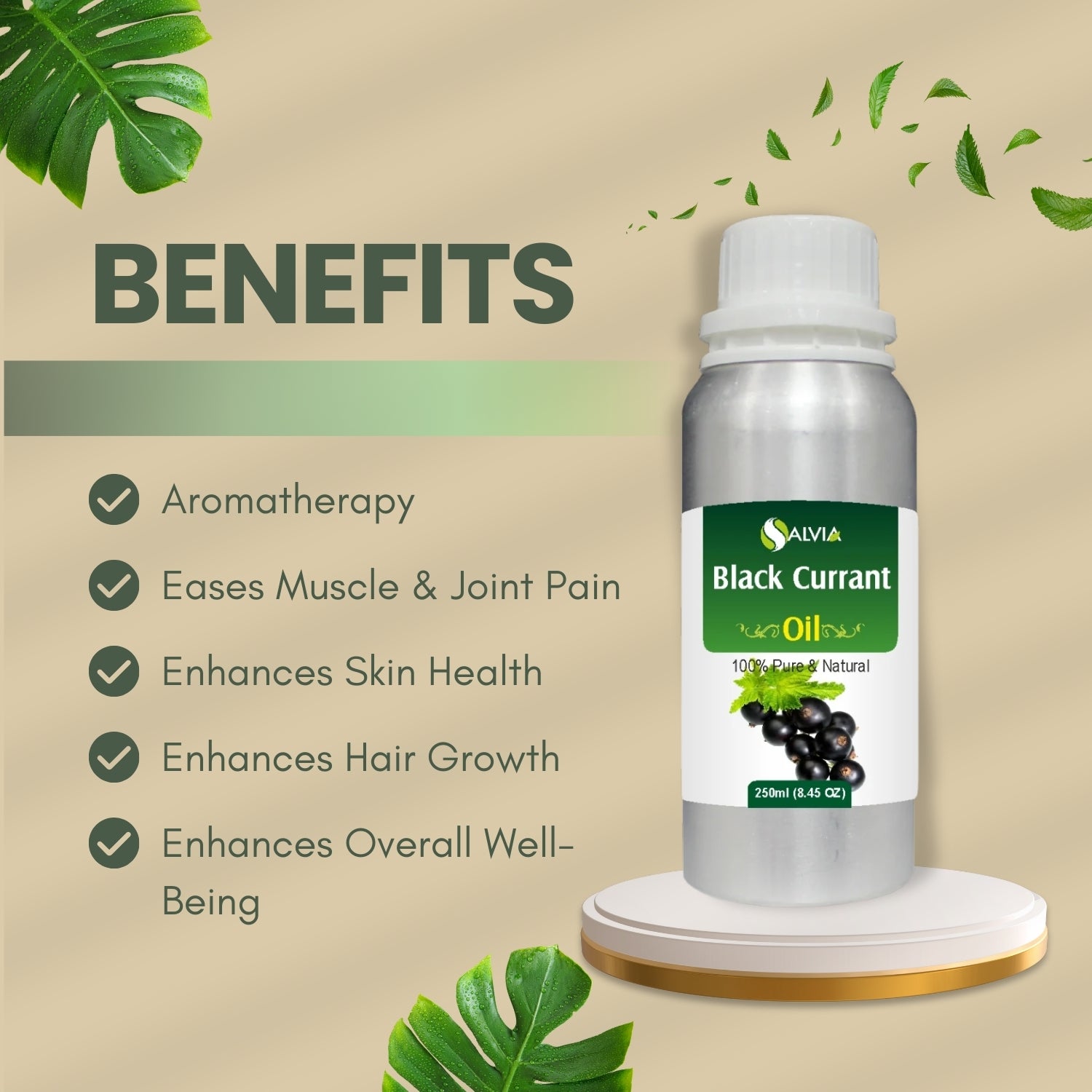Black Currant Oil