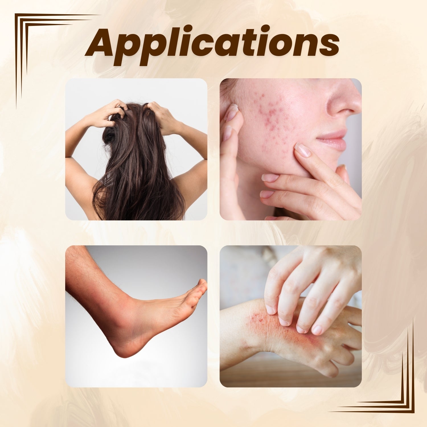 Lashun, Garlic Dry Extract