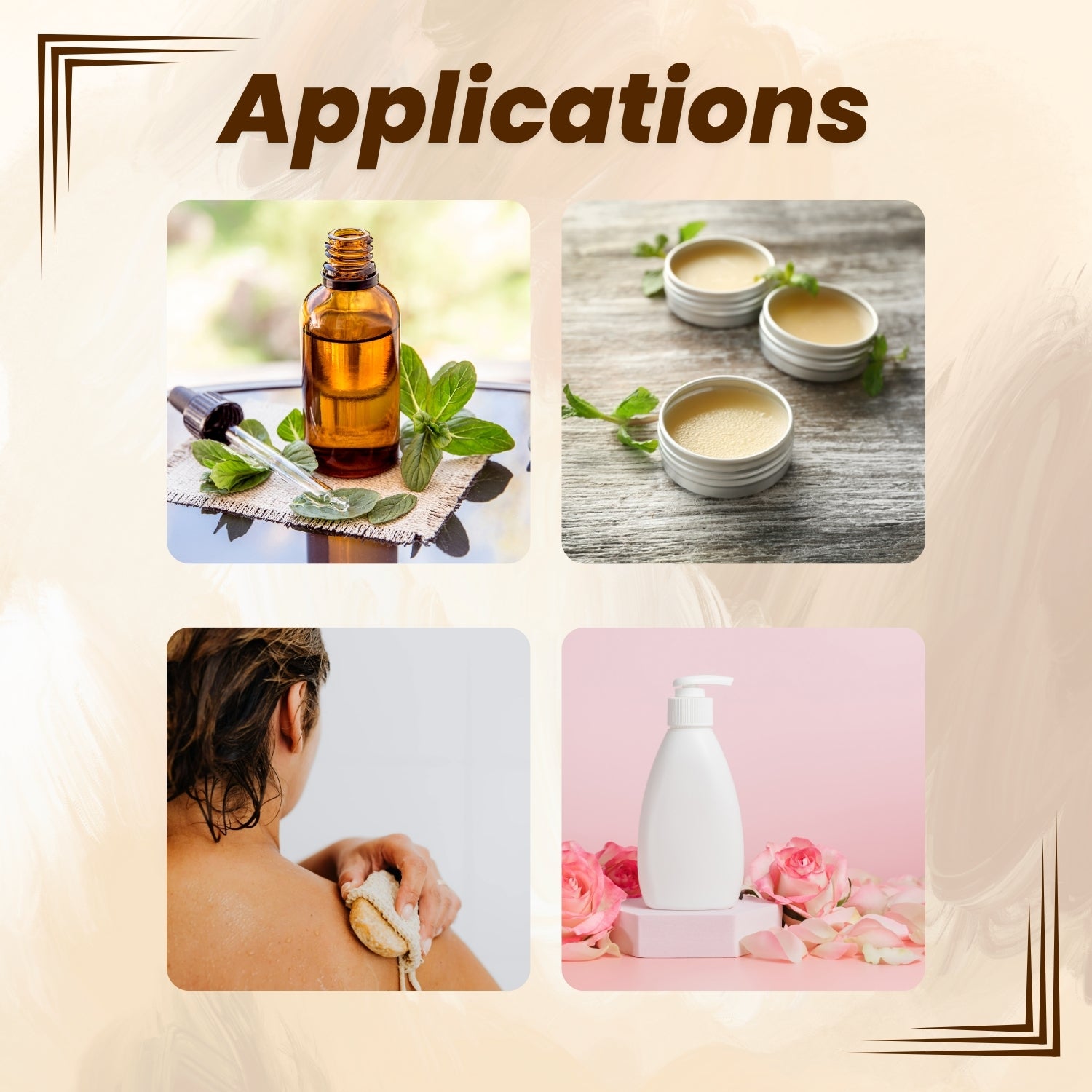 Calendula Dry Flower