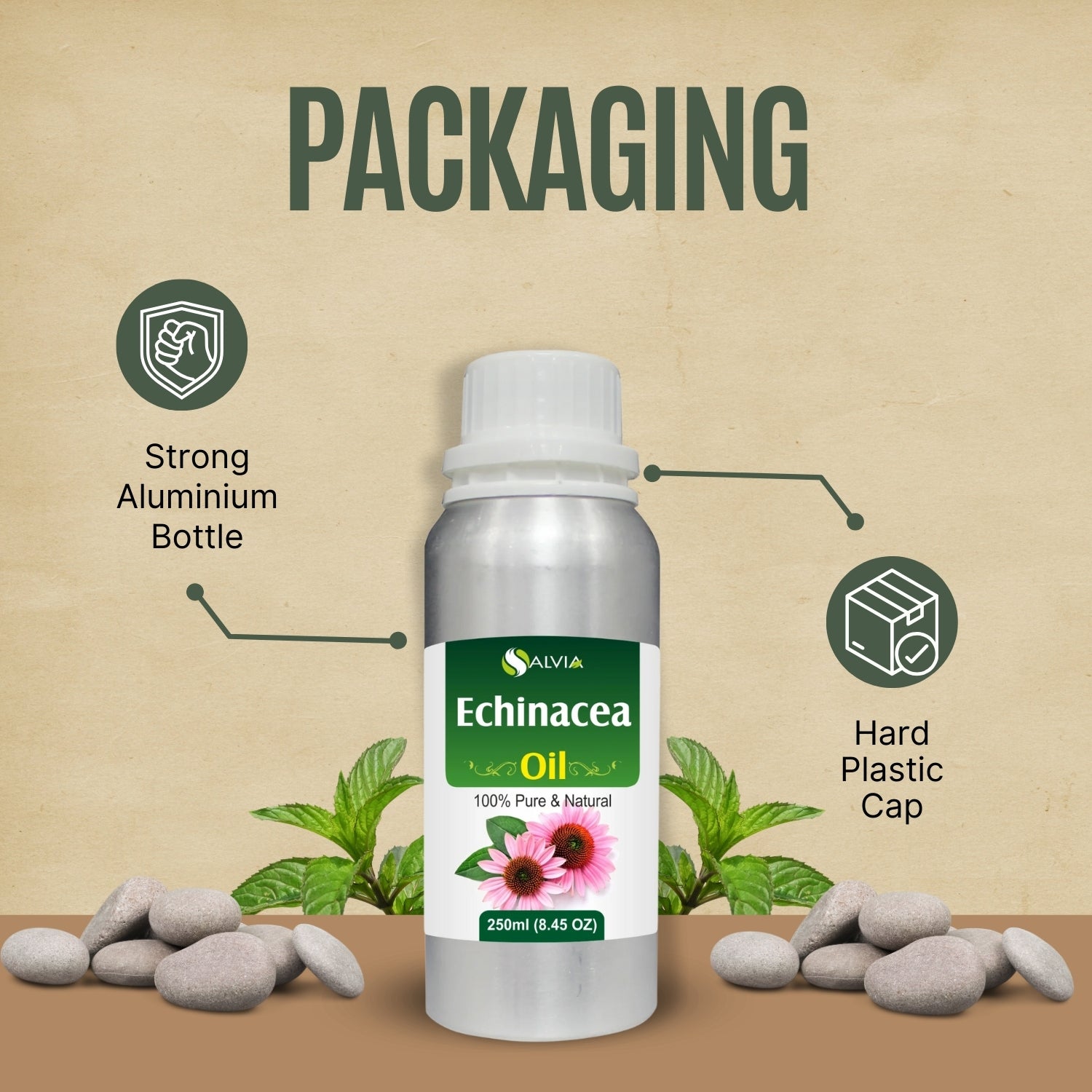 Echinacea Oil for skin