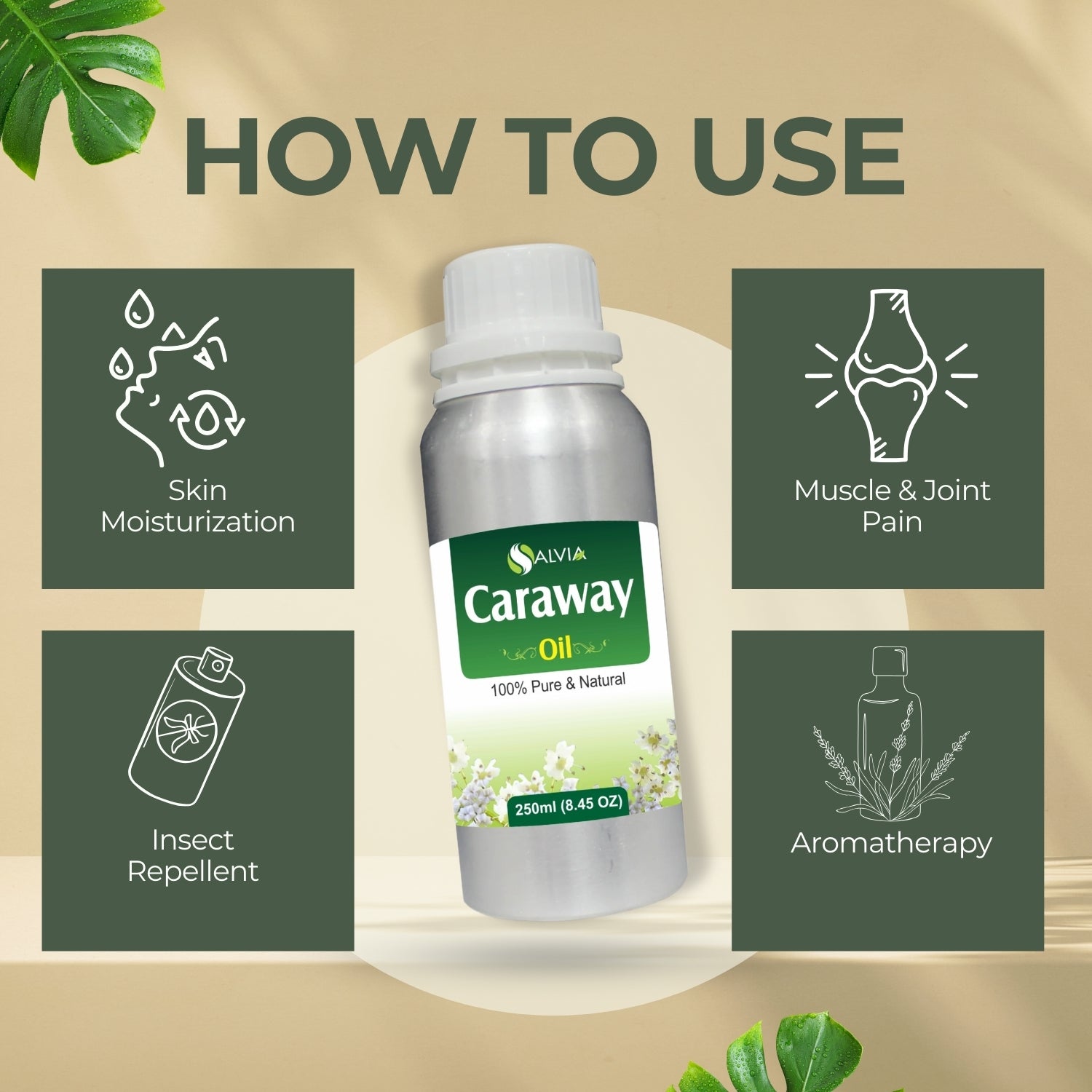 Caraway Essential Oil