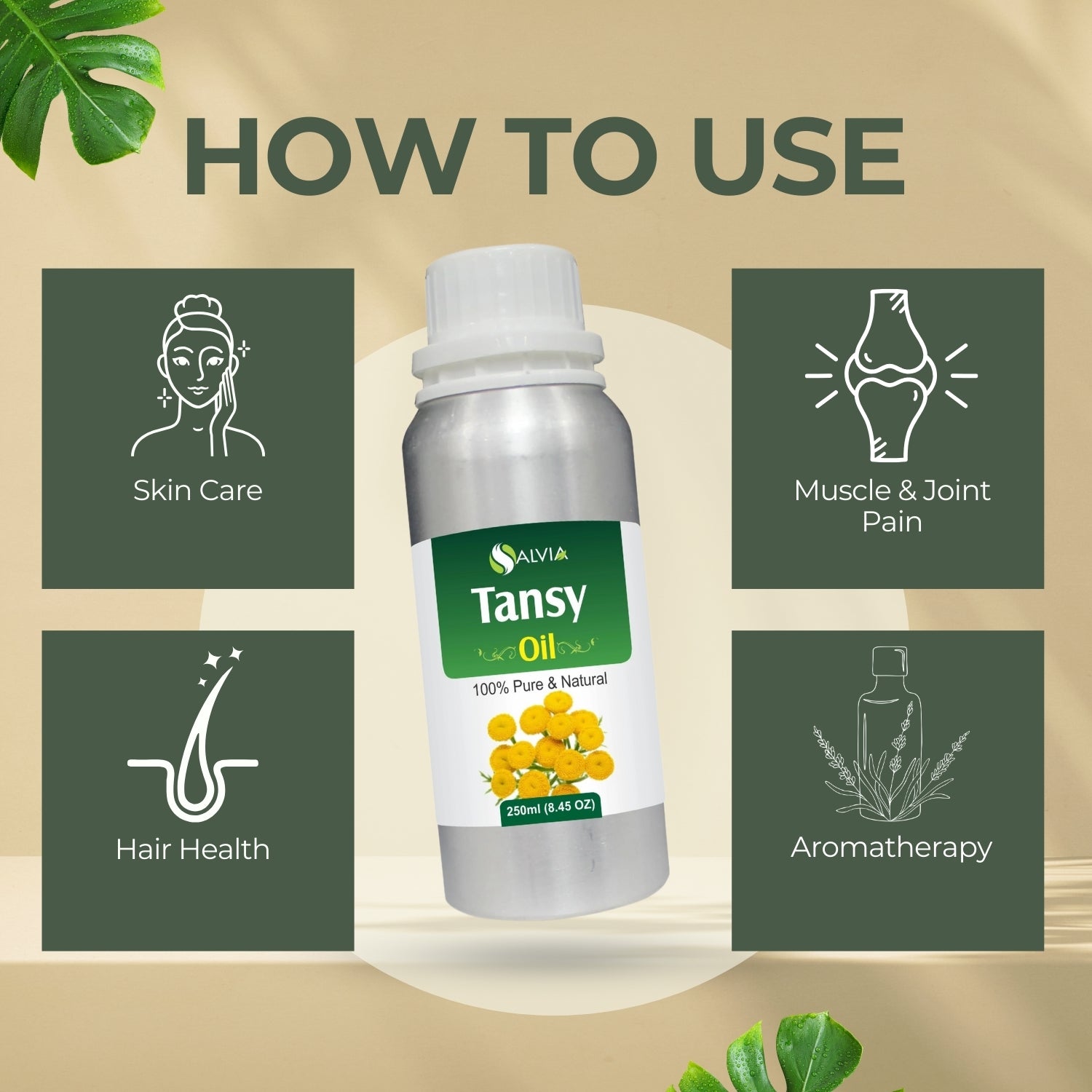 Tansy Oil