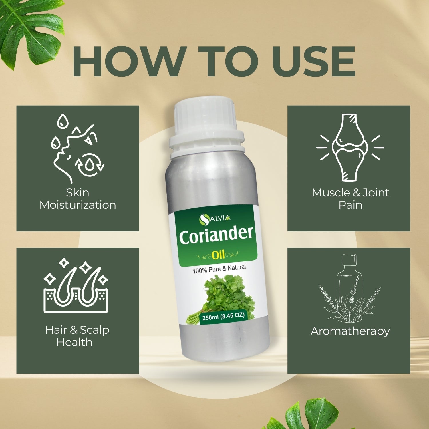 Coriander Oil