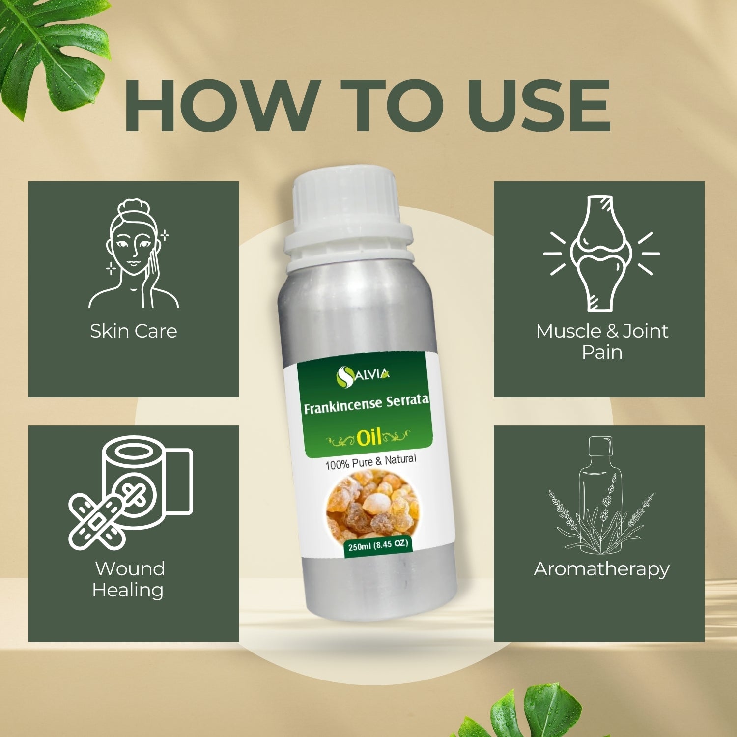 Frankincense Serrata Oil