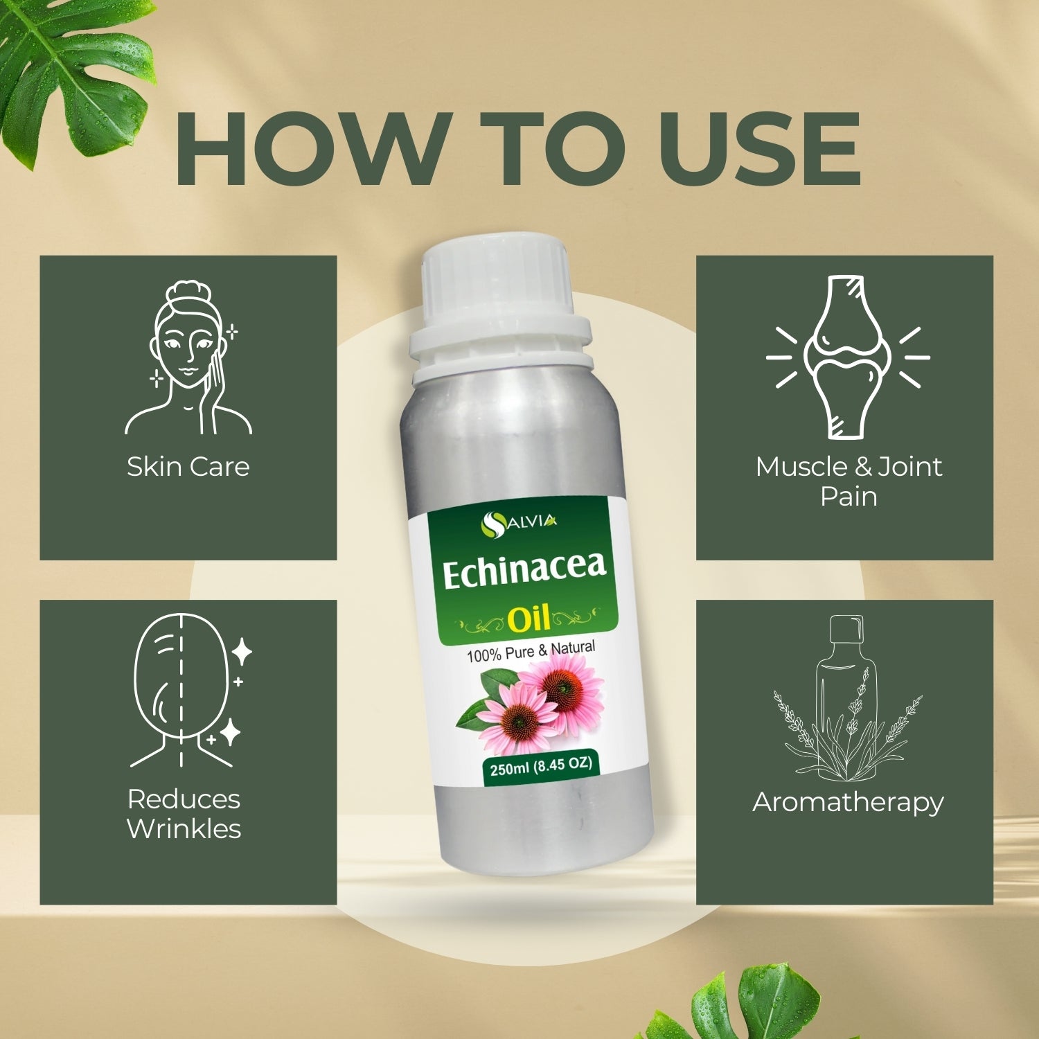 Echinacea Oil for skin