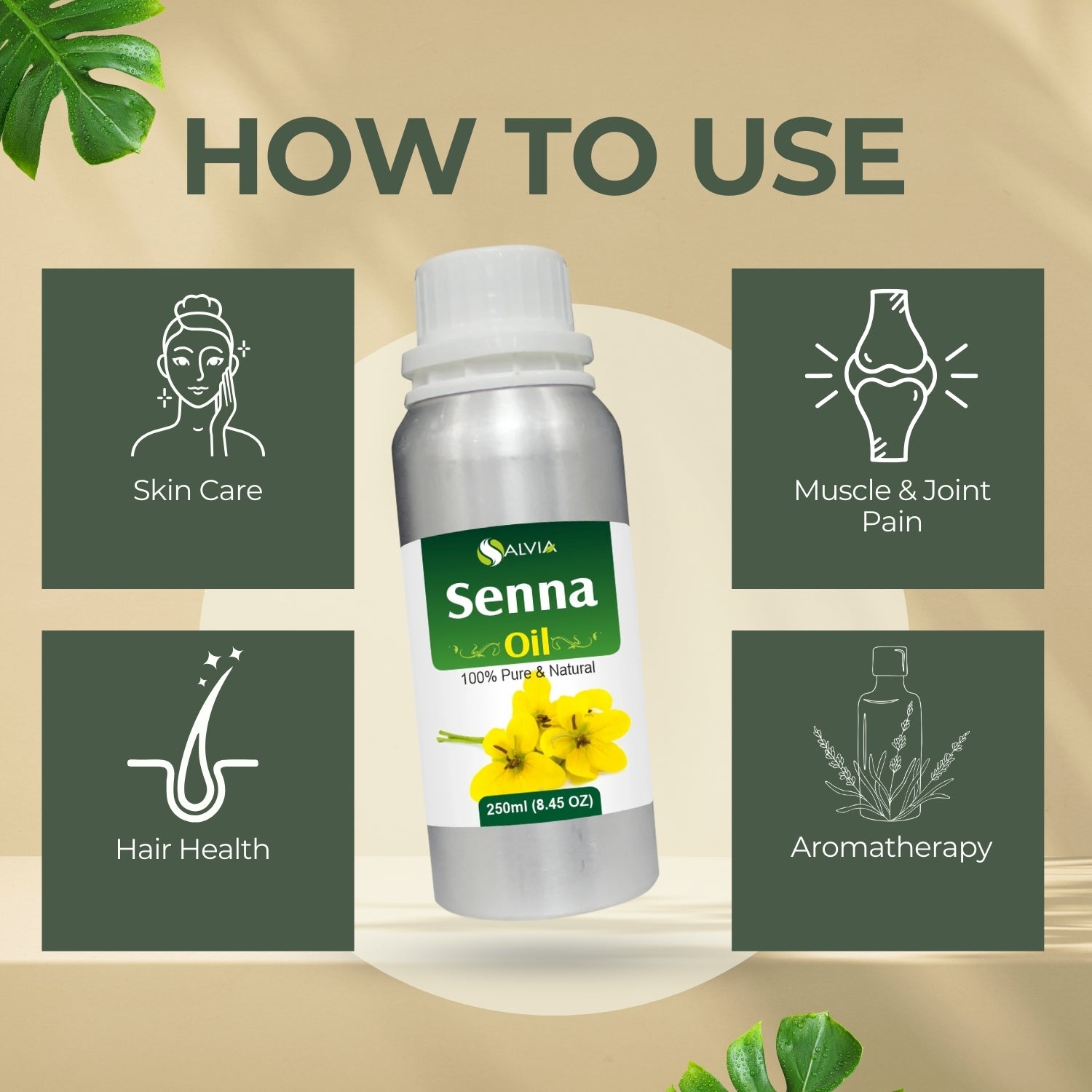 Seena Oil