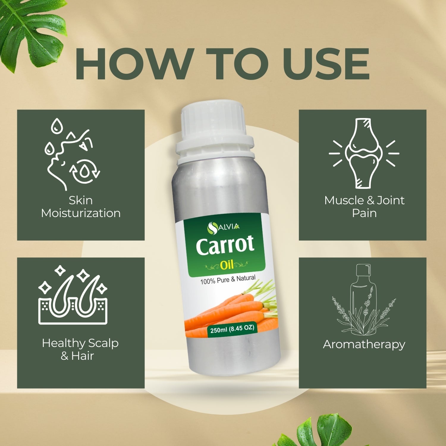 Carrot Oil (Daucus carota) Pure Undiluted Natural Essential Oil