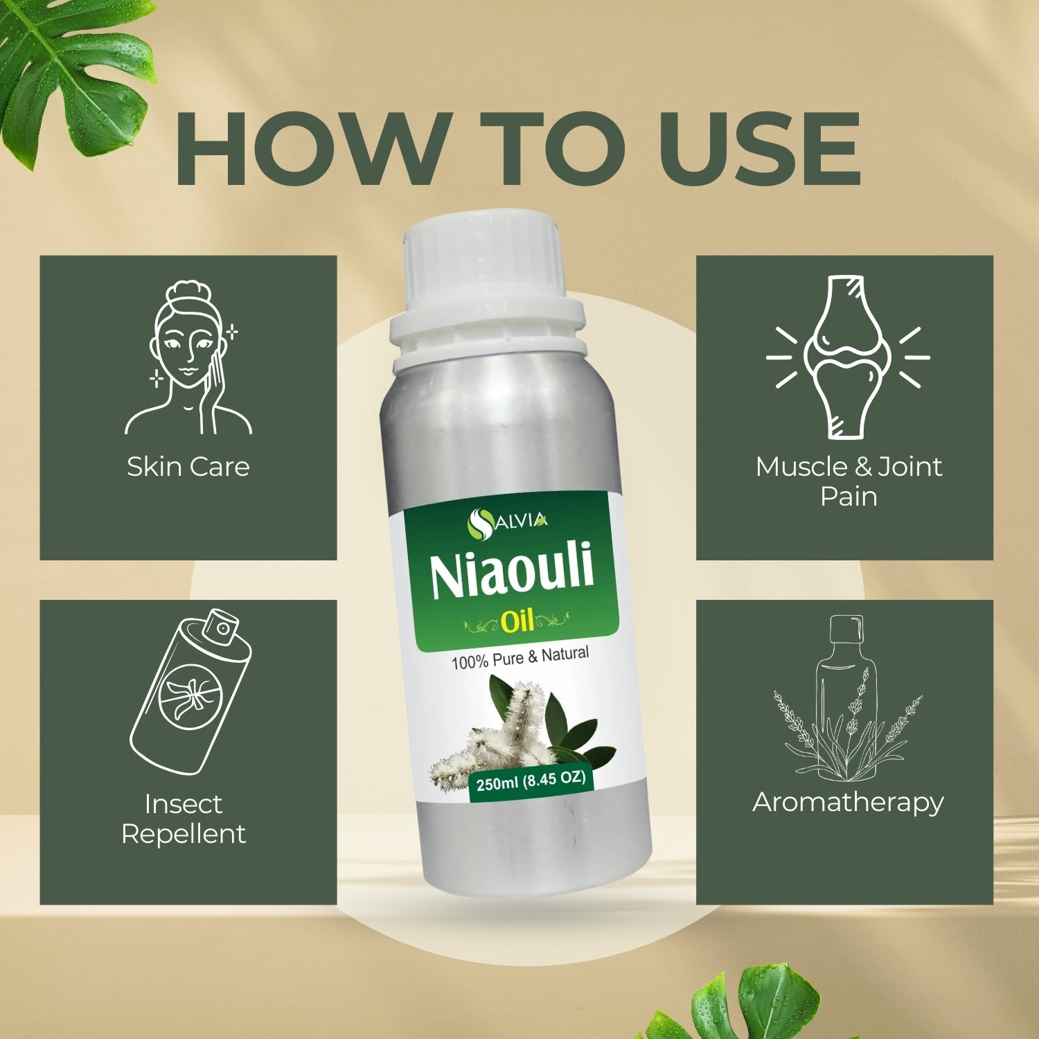 Niaouli Oil (Melaleuca Quinquenervia) Pure Essential Oil
