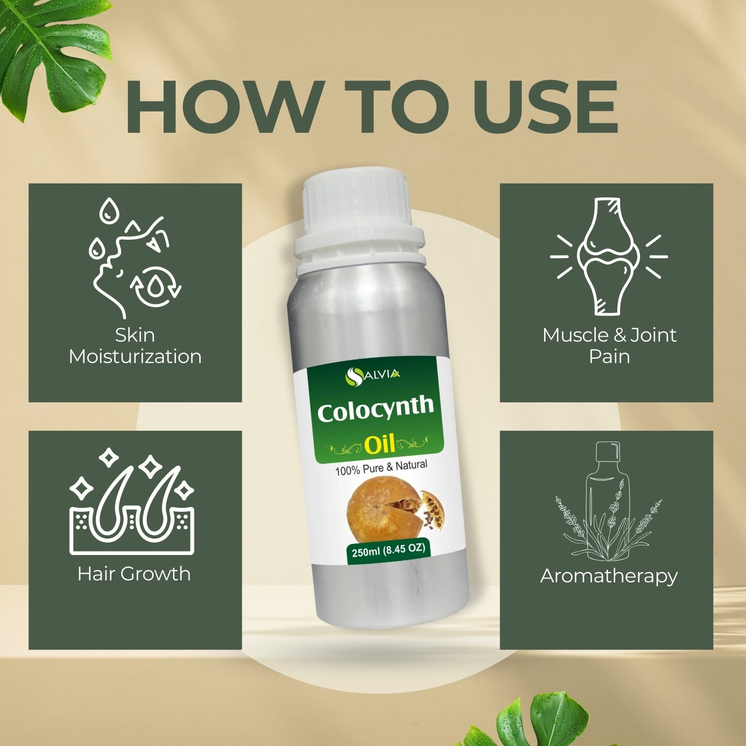 Colocynth Oil