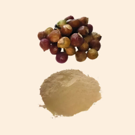 MYOC Aritha Ritha Dry Extract 35.2oz to 880oz, Natural Cleansing Agent, Saponin Rich, Gentle Scalp Care