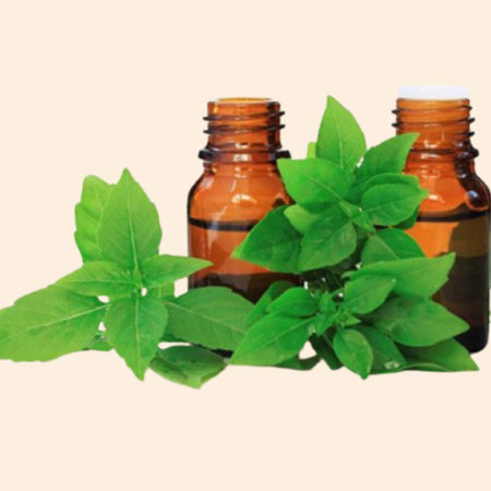 Basil Hydrosol