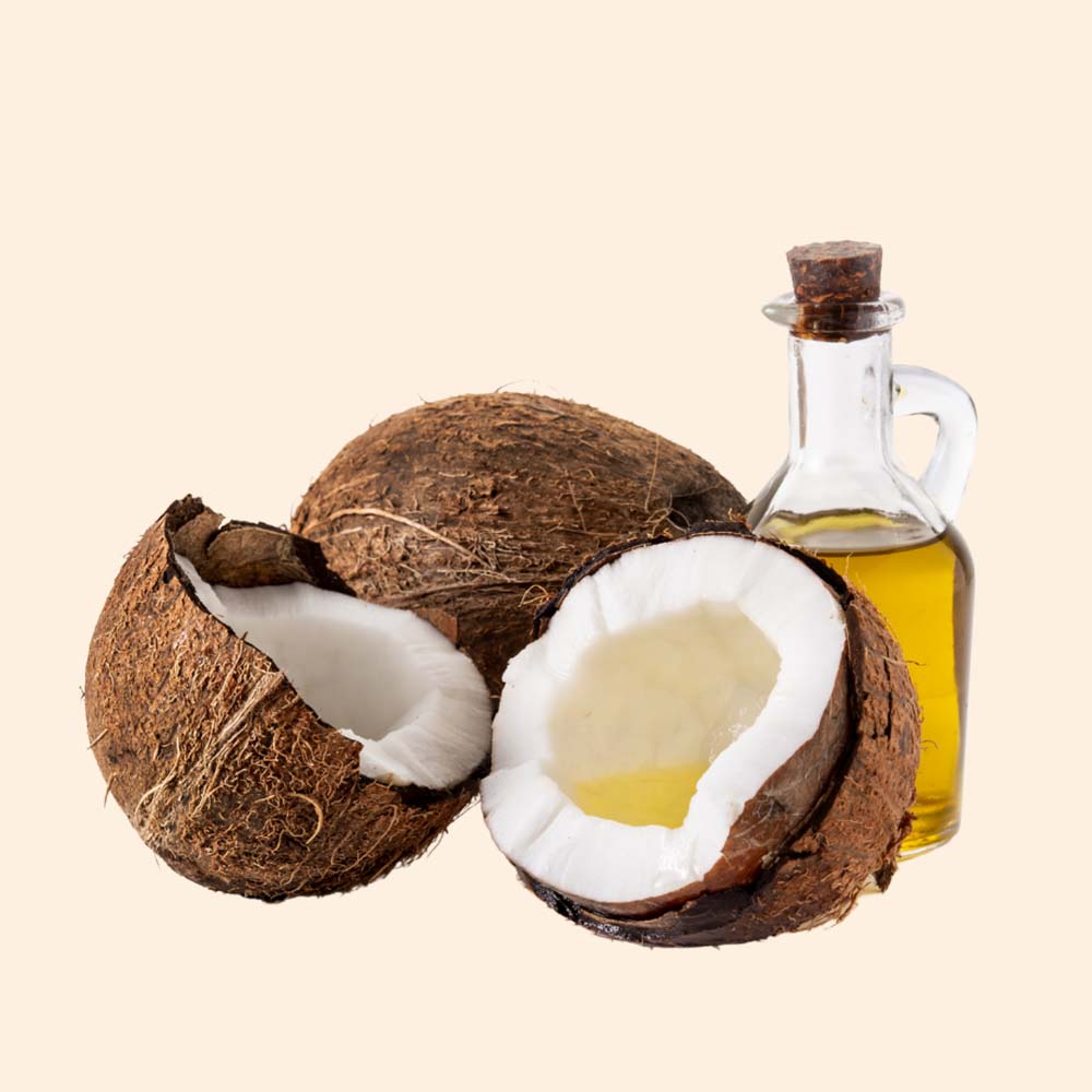 Coconut Hibiscus Massage Oil