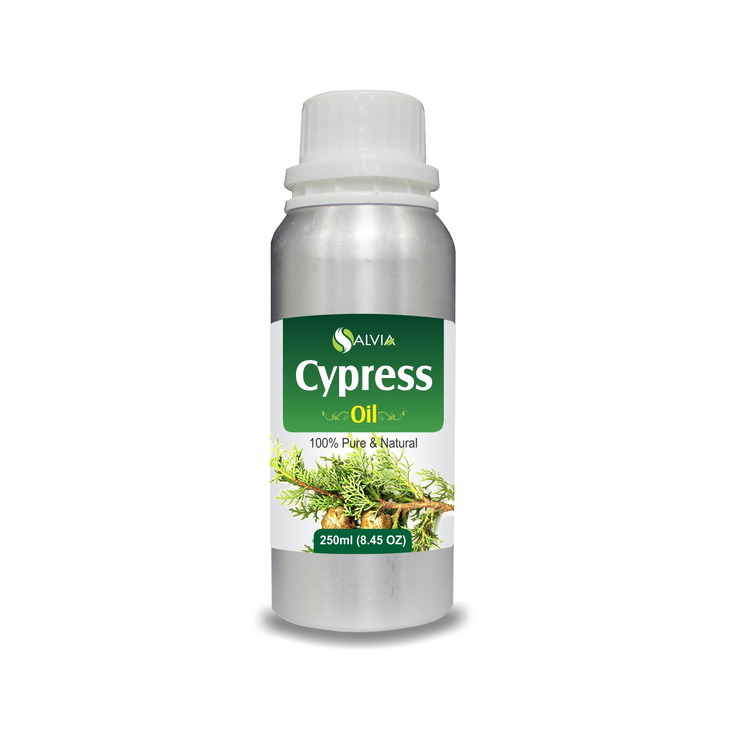 Cypress Oil (Cupressus sempervirens) 100% Natural Pure Essential Oil