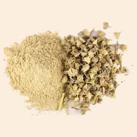 Gokhshura Powder