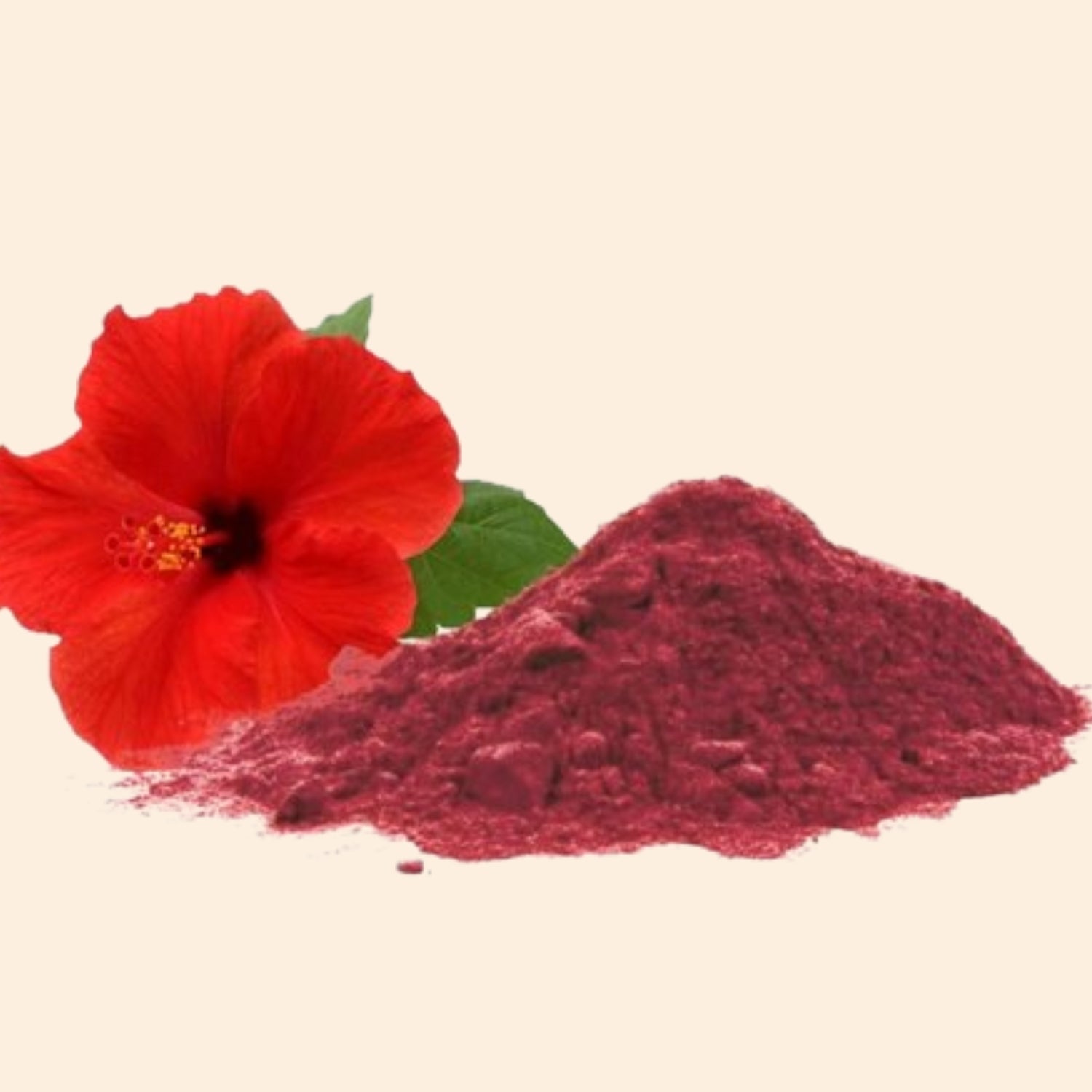 Hibiscus Powder